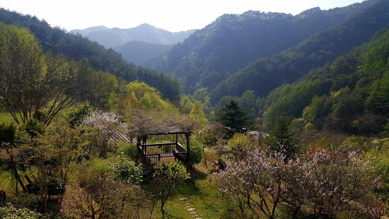 Fairy Tale Pension 平昌郡 エクステリア 写真