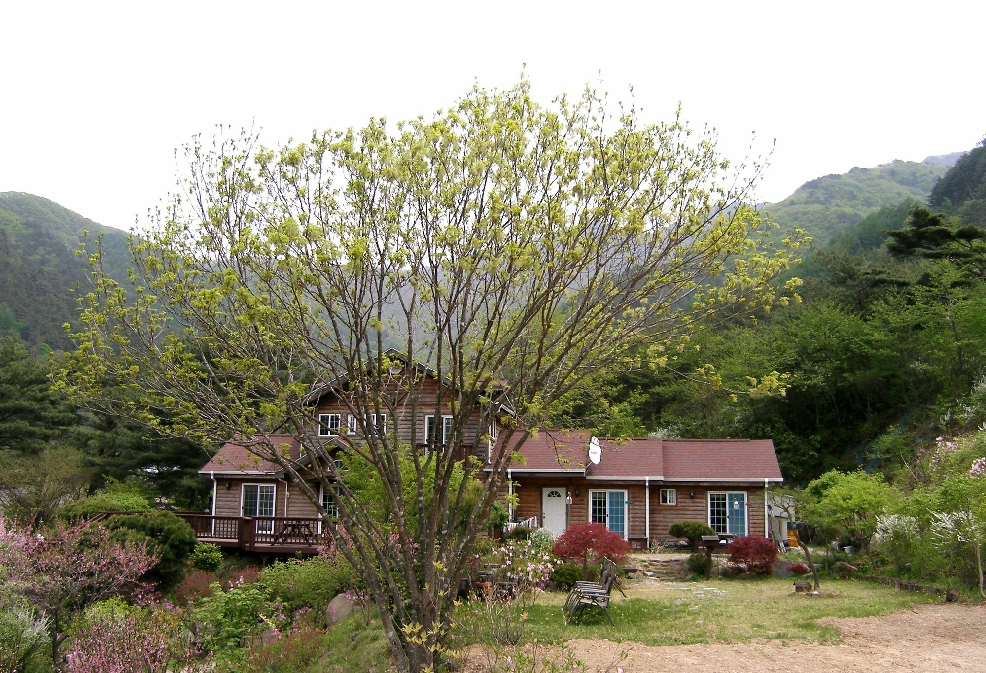 Fairy Tale Pension 平昌郡 エクステリア 写真